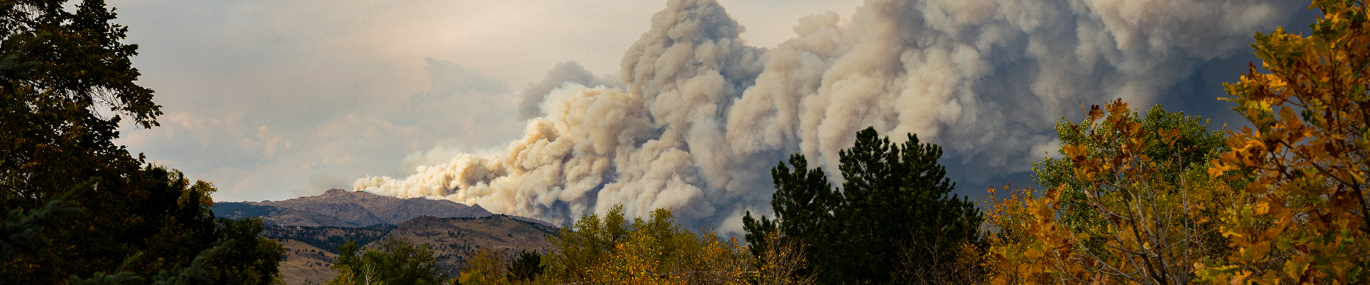 Fire Relief Fund_Banner_1920x400-01