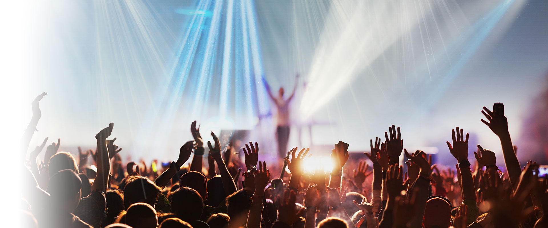 crowd at concert